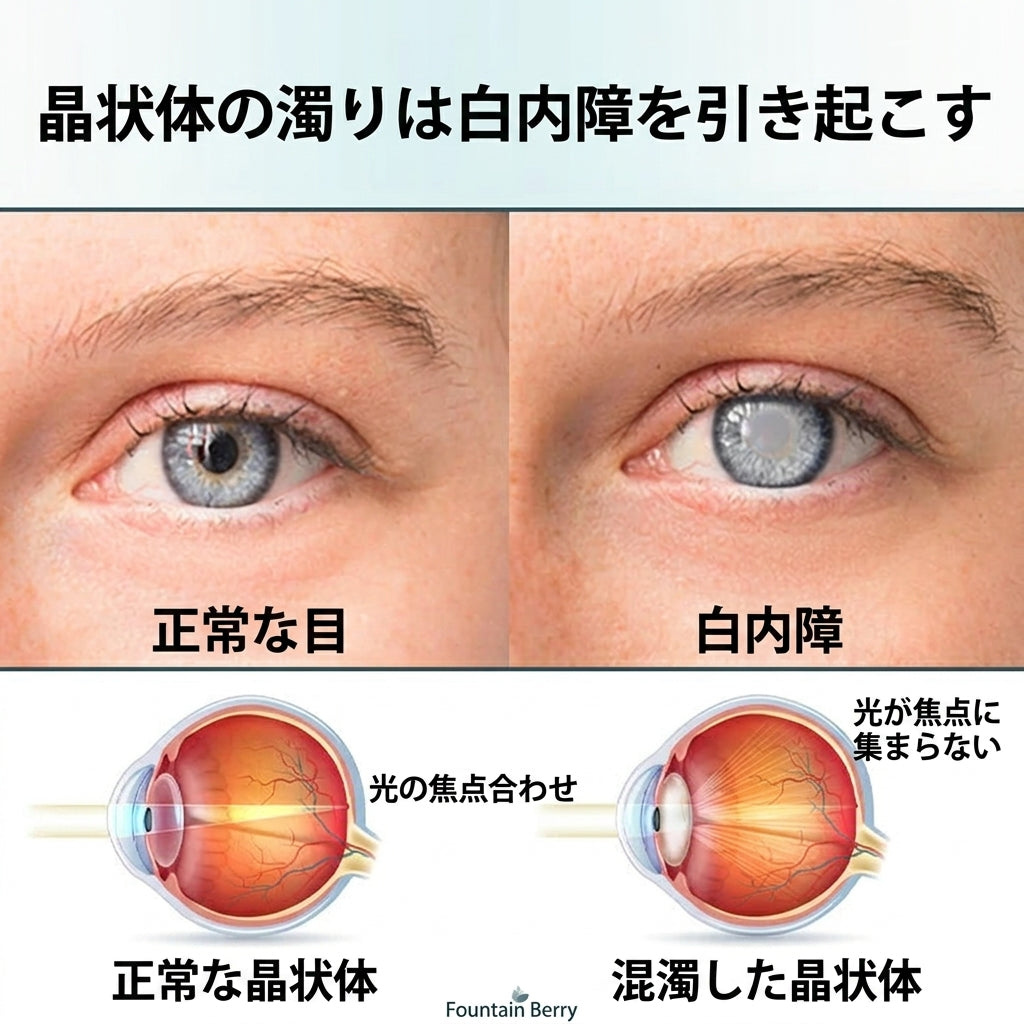 🥇ファウンテンベリー® オプティフュージョンナノ アイドロップセラム — ナノテクノロジーがメガネも手術もなしにクリアな視界を取り戻す