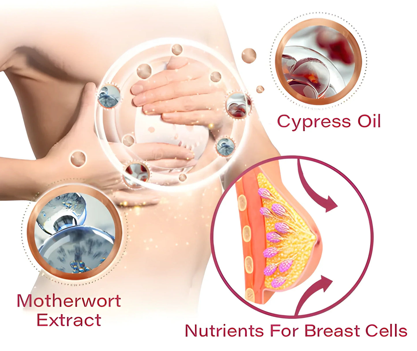 LOVILDS™ 2025 Breast Pro - Plump Patch🌸💖(⏰Limited time discount last 30 minutes⏰)