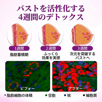 ⏰残り4時間セール：50%オフ – Fountain Berry® MaxCurve シャープ＆ボリュームアップ バストオイル